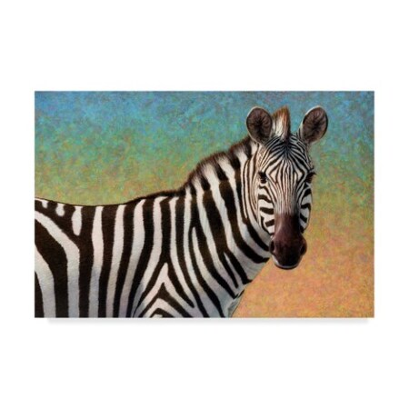 James W. Johnson 'Portrait Of A Zebra' Canvas Art,22x32